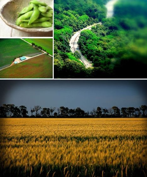 點擊進(jìn)入下一頁